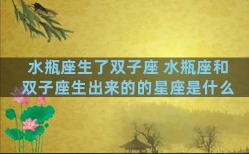 水瓶座生了双子座 水瓶座和双子座生出来的的星座是什么